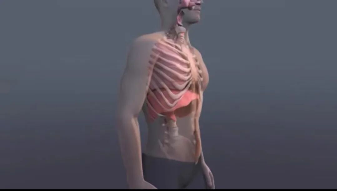 UAC online event review: Release Your Shoulders and Neck, Stretch Your Lower Back